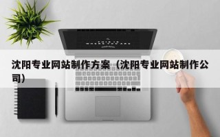 龙岩沈阳专业网站制作方案（沈阳专业网站制作公司）